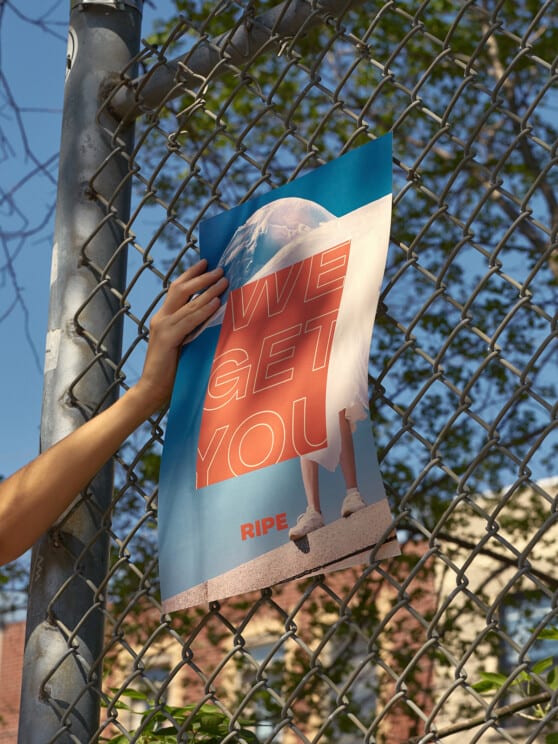 Ad poster for Ripe being put up on a fence
