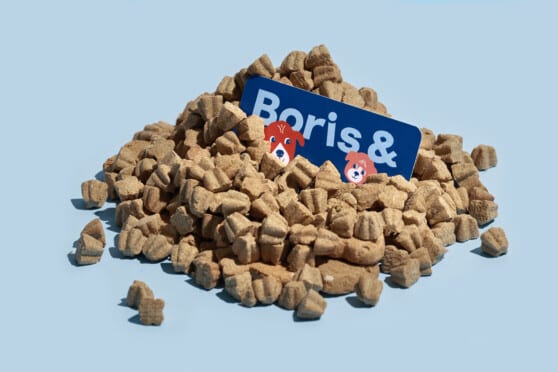 boris and horton business card in a pile of dog food